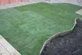 Lawn Turfing